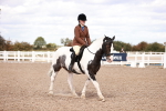 SBM_14476