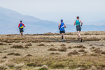 Black Combe-65