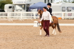 SBM_01056
