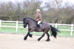 SBM_006937