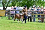 SBM_03646