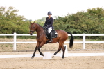 SBM_007436