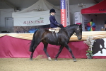 SBM_09391