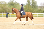 SBM_007436