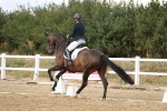 SBM_010996