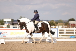 SBM_08017