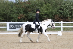 SBM_001991