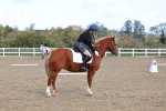 SBM_000997