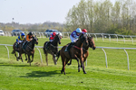 080426-Race 4-Evocative Spark-0343