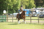 SBM_09557