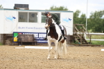 SBM_001049