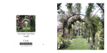 042 Roses Arch