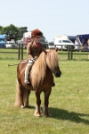 Class 24-25 - Mountain & Moorland In Hand Lead Rein and First Ridden portfolio