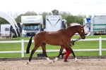 SBM_02464