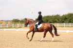 SBM_006479