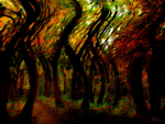M51  Autumn Gale in a Beech Wood