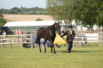 SBM_10362