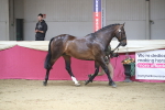 SBM_00588