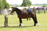 SBM_02151