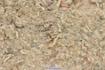 230611A-131101-05790
