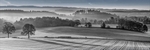 252A3248_BW