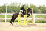 SBM_009162
