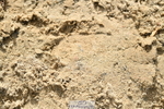 251004A-150723-01678