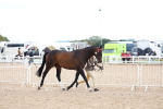 SBM_15264