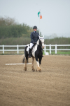 SBM_003354