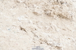250420A-111308-00500