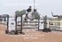 BPP_5323