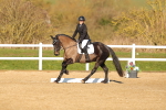 SBM_004637