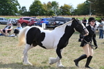 WJ6_6637