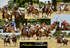 Polocrosse montage-1