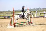 SBM_000213