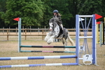 Class 12 Minimus Jumping 45cm portfolio