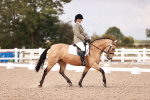 SBM_06336