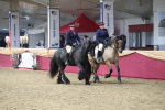 SBM_12981