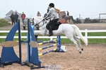 Cls 17 Pony British Novice and 80cm portfolio