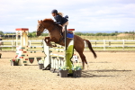 SBM_002836