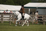 SBM_09204