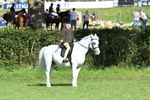 SBM_50305