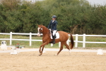 SBM_00736