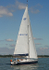 050918 HARMONY GBR6711R IMG_3574