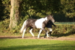 SBM_58676