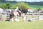 SBM_17201