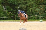 213-MGH.HILDARE.HARLEQUIN-Danielle.Mccormack-DR portfolio