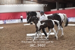 JAC_5407