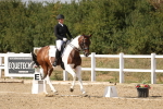 SBM_015119