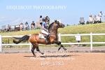 BPP_1783